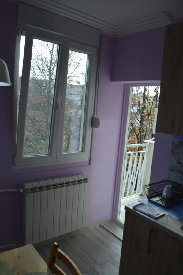 בלגרד Apartman Gloria 2 מראה חיצוני תמונה